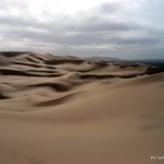 Dunes in Mongolia by Lisa Niver