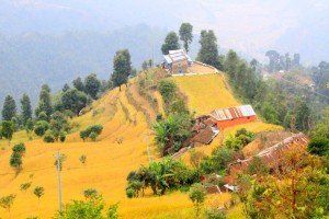 nepal mountains