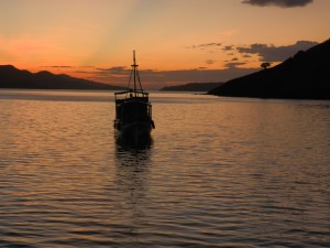 Komodo island