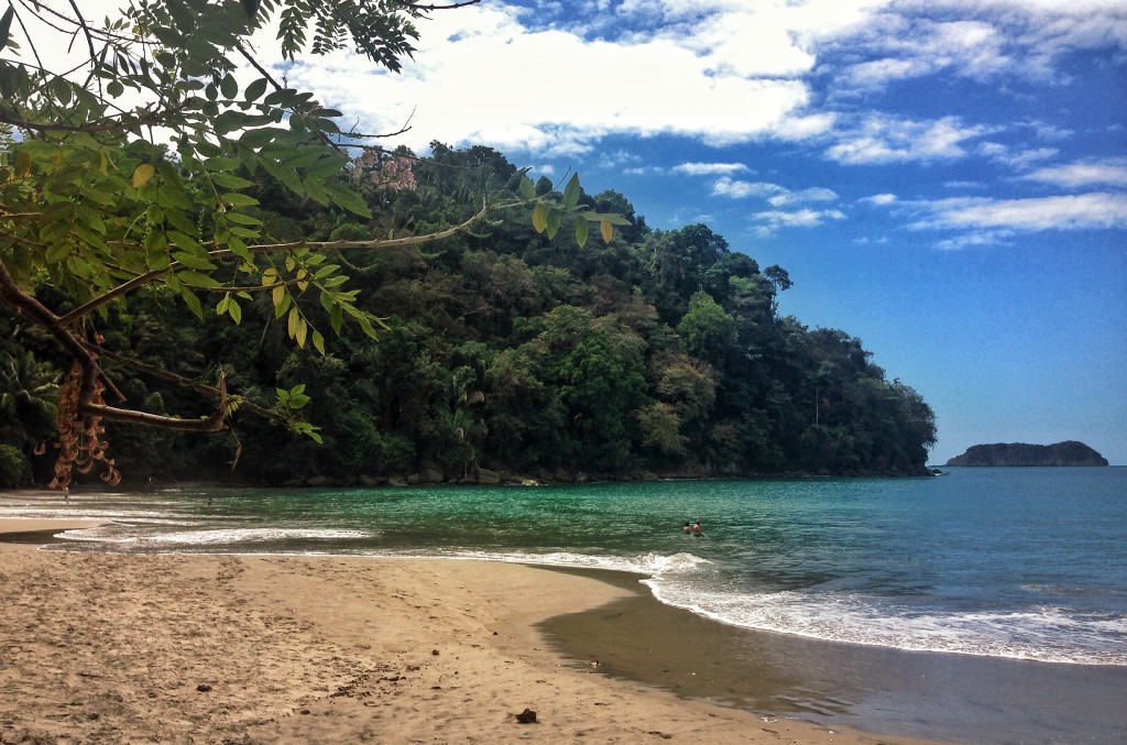 brave earth costa rica