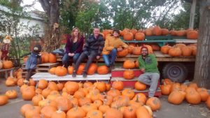 Local pumpkins