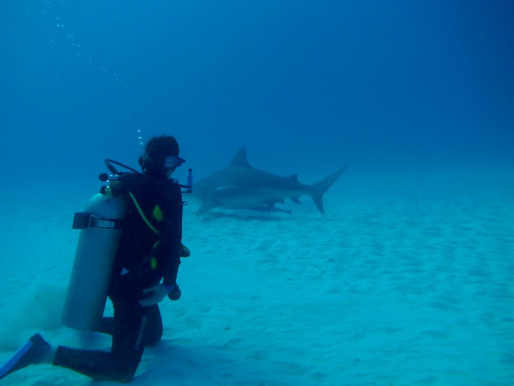 Lisa Niver Scuba Diving with Bull Sharks