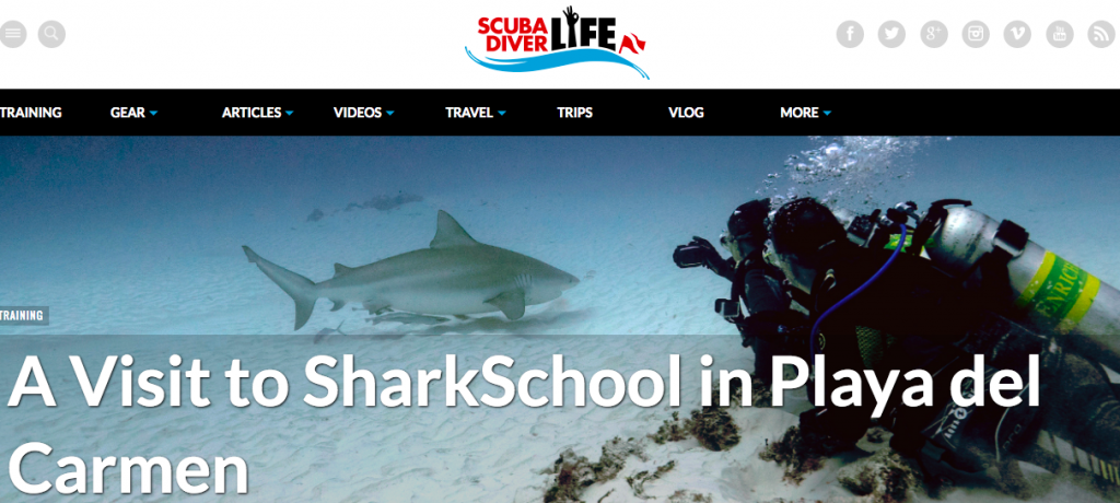 ScubaDiverLife SharkSchool