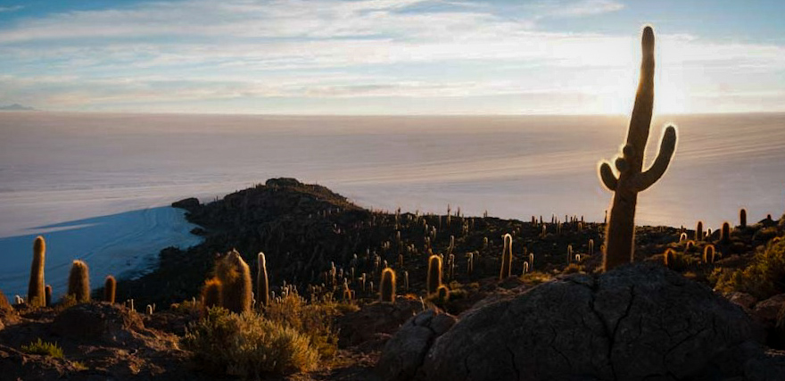 The Dead Island in the Dead Ocean Bolivia