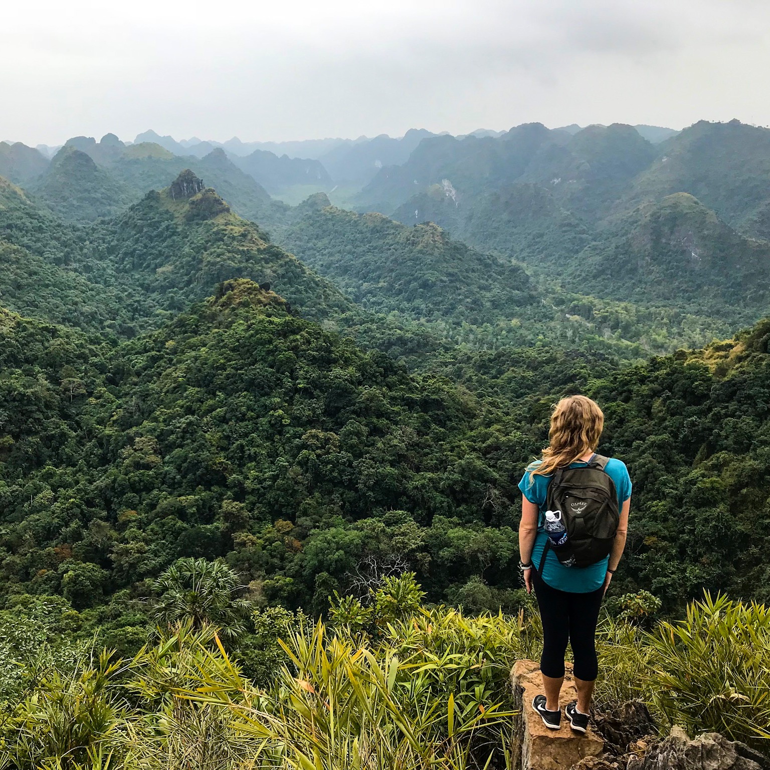 On the Edge of the Wild (Vietnam)