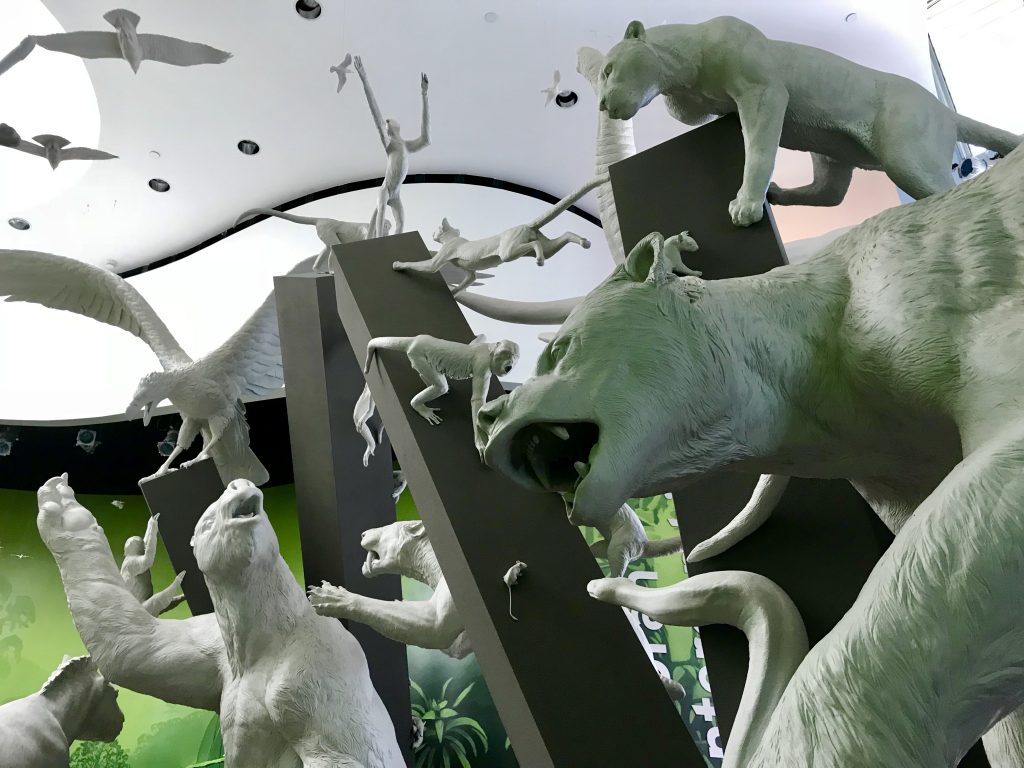 Biomuseo- Bridge between the Americas in Panama