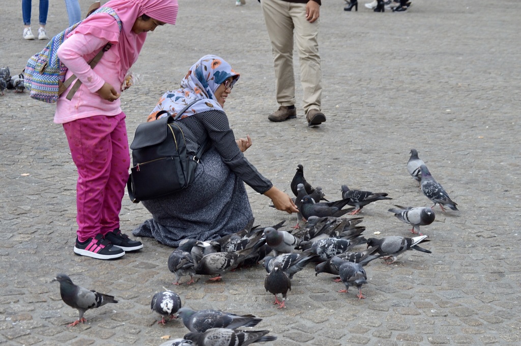 Bird Lady in Amsterdam, Netherlands
