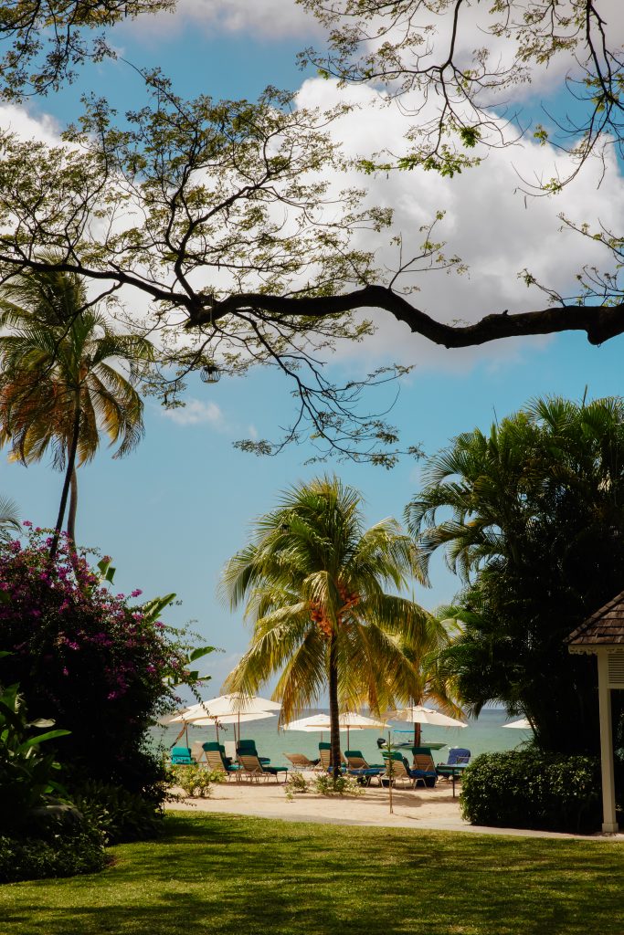 Palm trees and lounge chairs on beach at St. Lucia